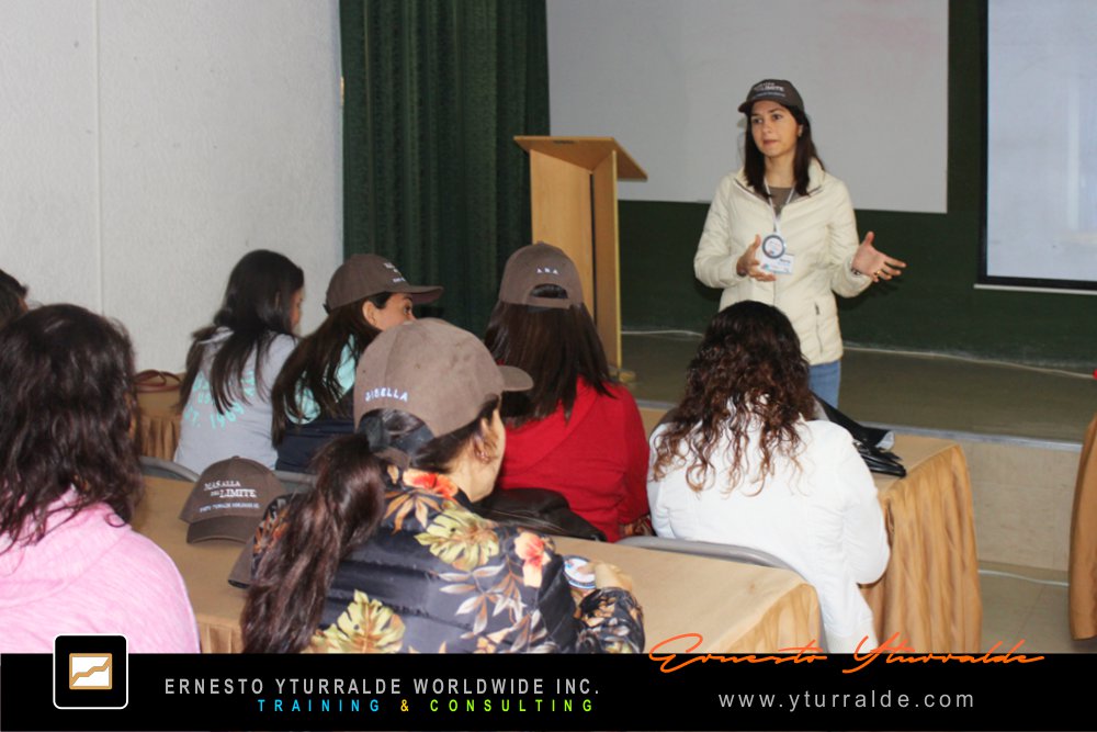 Puertas Afuera | Team Building Outdoor LATAM, El Caribe y USA Talleres de Cuerdas Bajas | Team Building Empresarial para el desarrollo de equipos de trabajo